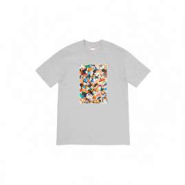 Picture of Supreme T Shirts Short _SKUSupremeS-2XLthtxS141521